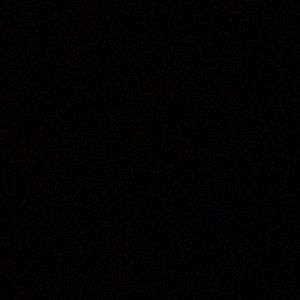 Meet your Posher, Dante